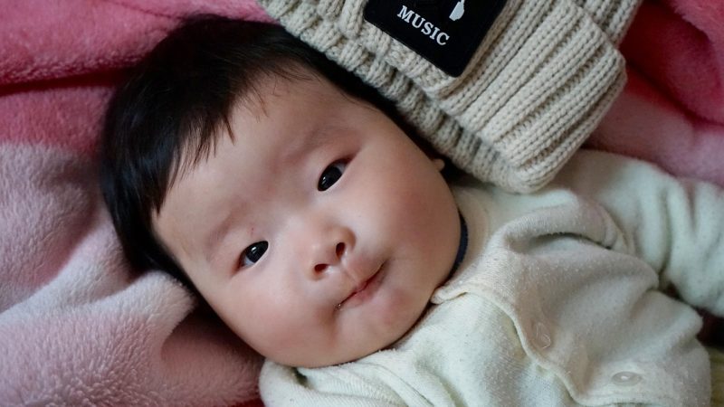 起点中文 相关配图